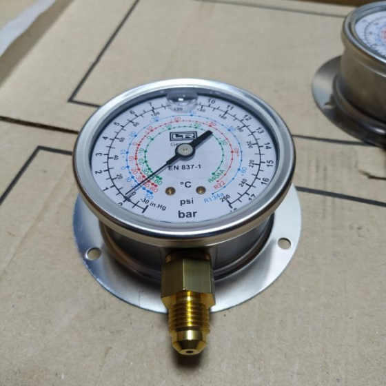 Đồng hồ áp suất VE18C