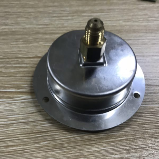Đồng hồ áp suất VF18C